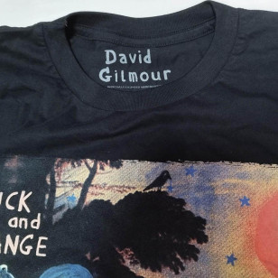 David Gilmour - Luck And Strange London Official T Shirt ( Men S , XL) ***READY TO SHIP from Hong Kong***
